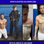 Collage tipo noticia (2 fotos) (10)