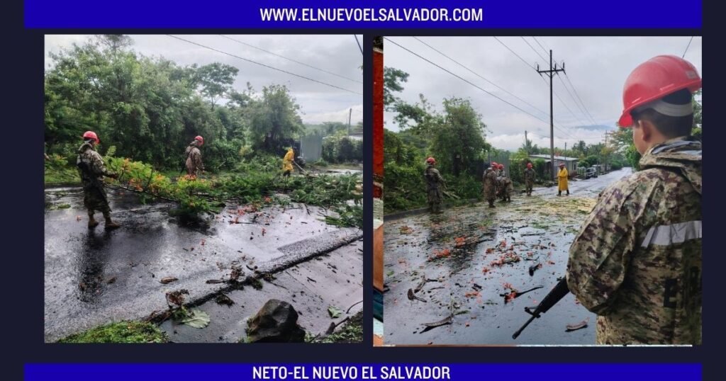 Remueven árbol caído que bloqueaba carretera hacia Ciudad Arce en San Juan Opico