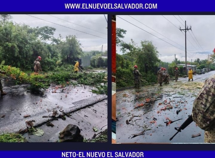 Remueven árbol caído que bloqueaba carretera hacia Ciudad Arce en San Juan Opico