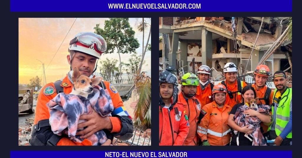 Rescatan con vida a un perrito que permanecía atrapado entre los escombros en Venezuela