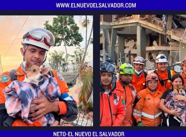 Rescatan con vida a un perrito que permanecía atrapado entre los escombros en Venezuela