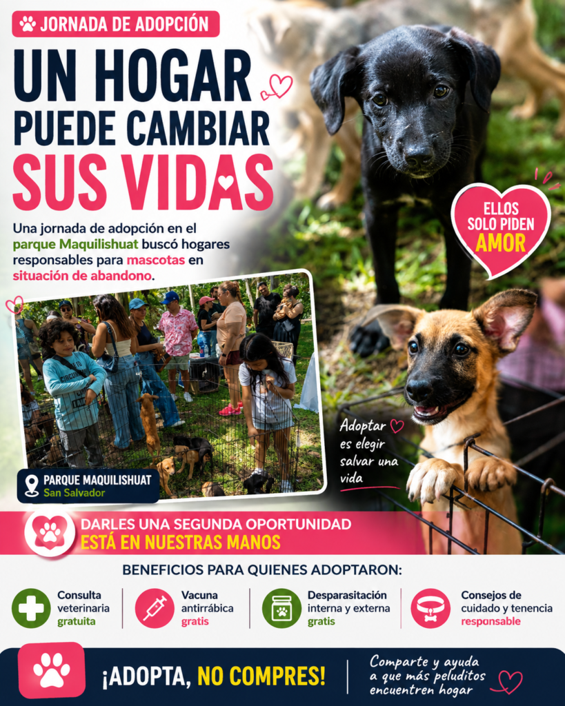 Jornada de adopción brinda una segunda oportunidad a mascotas en situación de abandono 2 Jornada de adopción brinda una segunda oportunidad a mascotas en situación de abandono