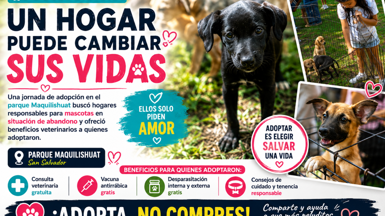 Jornada de adopción de mascotas en el parque Maquilishuat