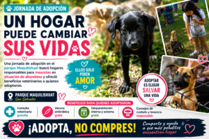 Jornada de adopción de mascotas en el parque Maquilishuat