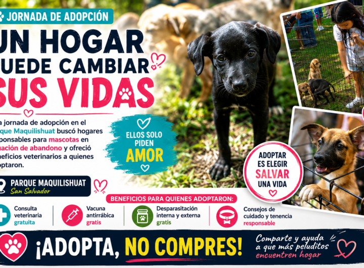 Jornada de adopción de mascotas en el parque Maquilishuat
